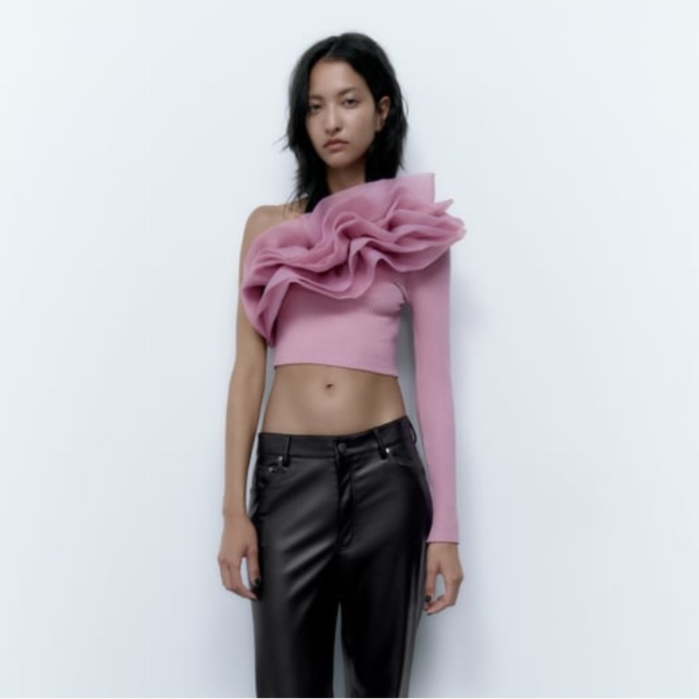 Zara Organza Crop Top in Dusty Mauve